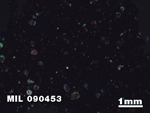 Thin Section Photo of Sample MIL 090453 in Cross-Polarized Light with 1.25X Magnification