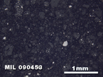 Thin Section Photo of Sample MIL 090453 in Reflected Light with 2.5X Magnification