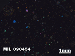 Thin Section Photo of Sample MIL 090454 in Cross-Polarized Light with 1.25X Magnification
