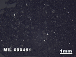 Thin Section Photo of Sample MIL 090461 in Reflected Light with 1.25X Magnification