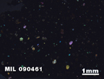 Thin Section Photo of Sample MIL 090461 in Cross-Polarized Light with 1.25X Magnification