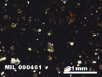 Thin Section Photo of Sample MIL 090461 in Plane-Polarized Light with 2.5X Magnification