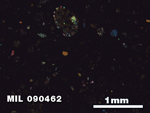 Thin Section Photo of Sample MIL 090462 in Cross-Polarized Light with 2.5X Magnification