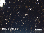 Thin Section Photo of Sample MIL 090463 in Plane-Polarized Light with 1.25X Magnification