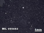 Thin Section Photo of Sample MIL 090463 in Reflected Light with 1.25X Magnification