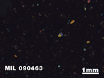 Thin Section Photo of Sample MIL 090463 in Cross-Polarized Light with 1.25X Magnification