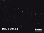 Thin Section Photo of Sample MIL 090464 in Cross-Polarized Light with 1.25X Magnification