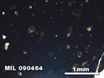 Thin Section Photo of Sample MIL 090464 in Plane-Polarized Light with 2.5X Magnification