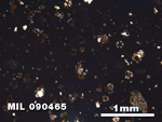 Thin Section Photo of Sample MIL 090465 in Plane-Polarized Light with 2.5X Magnification