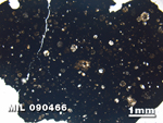 Thin Section Photo of Sample MIL 090466 in Plane-Polarized Light with 1.25X Magnification