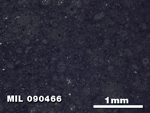 Thin Section Photo of Sample MIL 090466 in Reflected Light with 2.5X Magnification