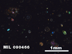 Thin Section Photo of Sample MIL 090466 in Cross-Polarized Light with 2.5X Magnification