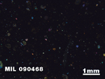 Thin Section Photo of Sample MIL 090468 in Cross-Polarized Light with 1.25X Magnification