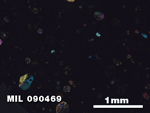 Thin Section Photo of Sample MIL 090469 in Cross-Polarized Light with 2.5X Magnification