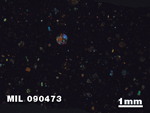 Thin Section Photo of Sample MIL 090473 in Cross-Polarized Light with 1.25X Magnification