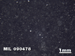 Thin Section Photo of Sample MIL 090478 in Reflected Light with 1.25X Magnification
