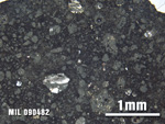 Thin Section Photo of Sample MIL 090482 at 2.5X Magnification in Plane-Polarized Light