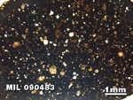 Thin Section Photo of Sample MIL 090483 at 1.25X Magnification in Plane-Polarized Light