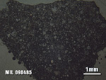 Thin Section Photo of Sample MIL 090485 at 1.25X Magnification in Reflected Light
