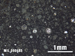 Thin Section Photo of Sample MIL 090485 at 2.5X Magnification in Plane-Polarized Light