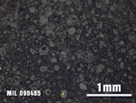 Thin Section Photo of Sample MIL 090485 at 2.5X Magnification in Reflected Light
