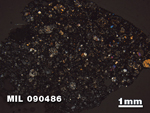 Thin Section Photo of Sample MIL 090486 at 1.25X Magnification in Cross-Polarized Light