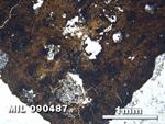 Thin Section Photo of Sample MIL 090487 at 2.5X Magnification in Plane-Polarized Light
