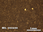 Thin Section Photo of Sample MIL 090488 at 2.5X Magnification in Reflected Light