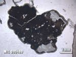 Thin Section Photo of Sample MIL 090489 at 1.25X Magnification in Plane-Polarized Light