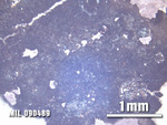 Thin Section Photo of Sample MIL 090489 at 2.5X Magnification in Plane-Polarized Light