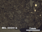Thin Section Photo of Sample MIL 090514 at 2.5X Magnification in Reflected Light