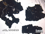 Thin Section Photo of Sample MIL 090539 in Plane-Polarized Light with 1.25X Magnification