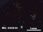 Thin Section Photo of Sample MIL 090539 in Cross-Polarized Light with 2.5X Magnification