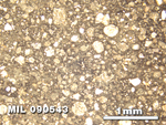Thin Section Photo of Sample MIL 090543 in Plane-Polarized Light with 2.5X Magnification