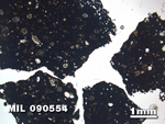 Thin Section Photo of Sample MIL 090554 in Plane-Polarized Light with 1.25X Magnification