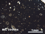 Thin Section Photo of Sample MIL 090554 in Plane-Polarized Light with 2.5X Magnification