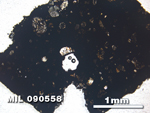 Thin Section Photo of Sample MIL 090558 in Plane-Polarized Light with 2.5X Magnification