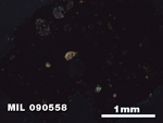 Thin Section Photo of Sample MIL 090558 in Cross-Polarized Light with 2.5X Magnification