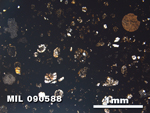 Thin Section Photo of Sample MIL 090588 in Plane-Polarized Light with 2.5X Magnification