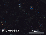 Thin Section Photo of Sample MIL 090593 in Cross-Polarized Light with 2.5X Magnification