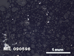 Thin Section Photo of Sample MIL 090596 in Reflected Light with 2.5X Magnification