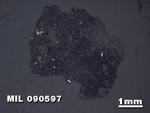 Thin Section Photo of Sample MIL 090597 in Reflected Light with 1.25X Magnification