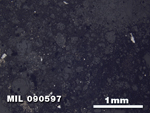 Thin Section Photo of Sample MIL 090597 in Reflected Light with 2.5X Magnification