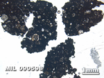 Thin Section Photo of Sample MIL 090598 in Plane-Polarized Light with 1.25X Magnification