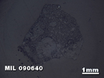 Thin Section Photo of Sample MIL 090640 in Reflected Light with 1.25X Magnification