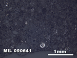 Thin Section Photo of Sample MIL 090641 in Reflected Light with 2.5X Magnification