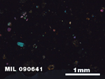 Thin Section Photo of Sample MIL 090641 in Cross-Polarized Light with 2.5X Magnification
