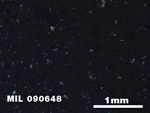 Thin Section Photo of Sample MIL 090648 in Cross-Polarized Light with 2.5X Magnification