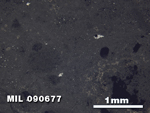 Thin Section Photo of Sample MIL 090677 in Reflected Light with 2.5X Magnification