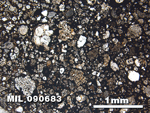Thin Section Photo of Sample MIL 090683 in Plane-Polarized Light with 2.5X Magnification
